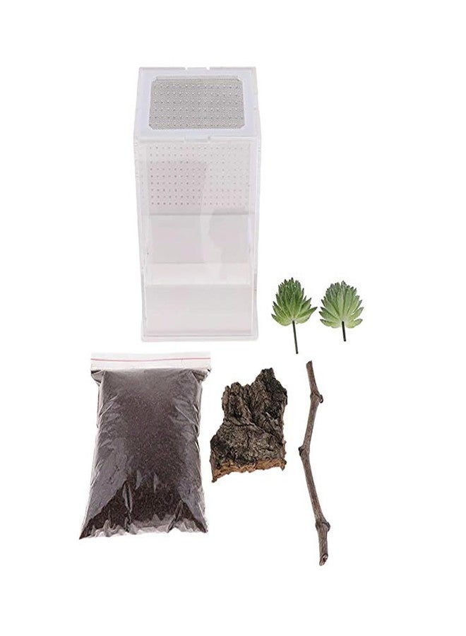 OMEM Reptile Breeding Box, Insect Incubator, for Orchid Mantis, African Phantom Mantis, Reptile Resting Habitat and Entertainment - Image 3